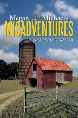 Cover of the book Megan and Michael's Misadventures by Simon P Bargetzi