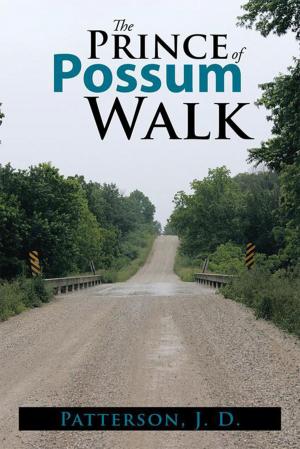 bigCover of the book The Prince of Possum Walk by 