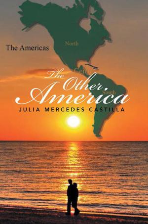 Cover of the book The Other America by Meagan Ahlstrom, REBECCA AHLSTROM
