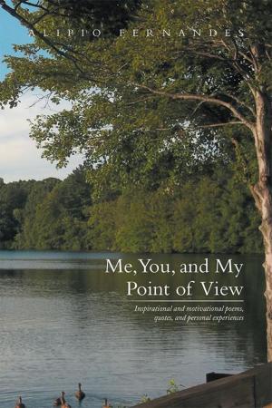 Book cover of Me, You, and My Point of View