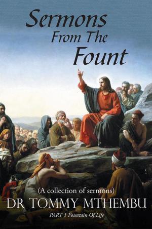 Cover of the book Sermons from the Fount by John Berryman