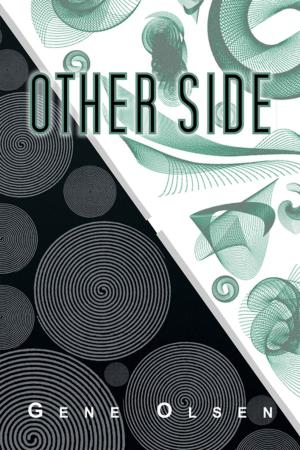 bigCover of the book Other Side by 