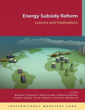 Book cover of Energy Subsidy Reform: Lessons and Implications