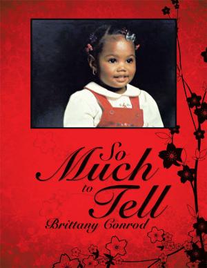 Cover of the book So Much to Tell by W.J. Ottenbreit