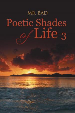 bigCover of the book Poetic Shades of Life 3 by 