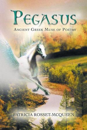 Cover of the book Pegasus by Erika Wilburn
