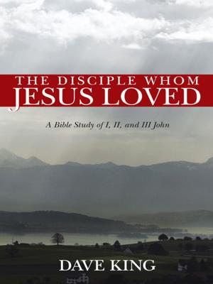 Cover of the book The Disciple Whom Jesus Loved by Dale Hansen