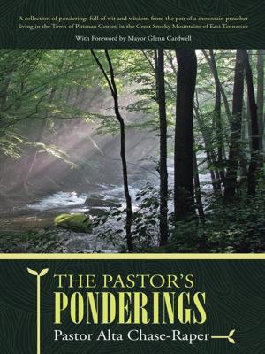 Cover of the book The Pastor's Ponderings by Quinn Tudor CRNA MS