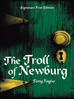 Cover of the book The Troll of Newburg by Richard and Robin Johnson