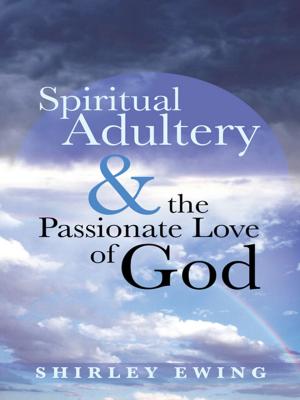 Cover of the book Spiritual Adultery and the Passionate Love of God by Becca Ramirez