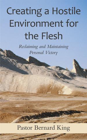 Cover of the book Creating a Hostile Environment for the Flesh by Linda M. Sundve