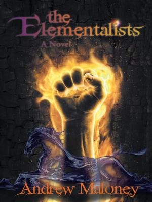 Cover of the book The Elementalists by David Nolan