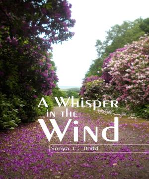 Cover of the book A Whisper in the Wind by Jeffrey K. Walker