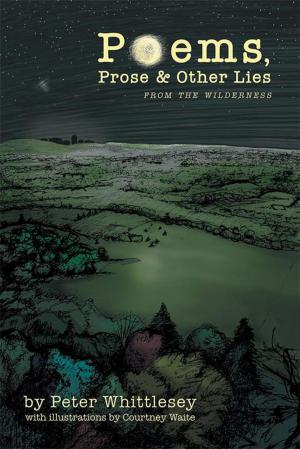 Cover of the book Poems, Prose, and Other Lies by MarNa Carter