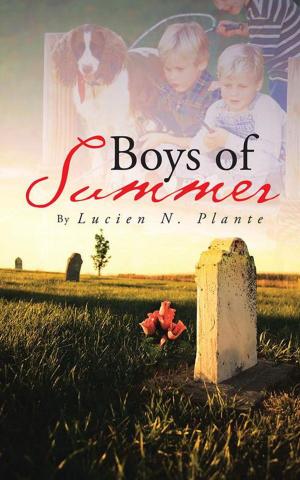 Cover of the book Boys of Summer by Allan Russell Juriansz