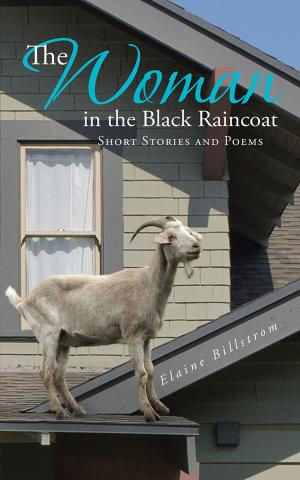 Cover of the book The Woman in the Black Raincoat by Frances Koziar