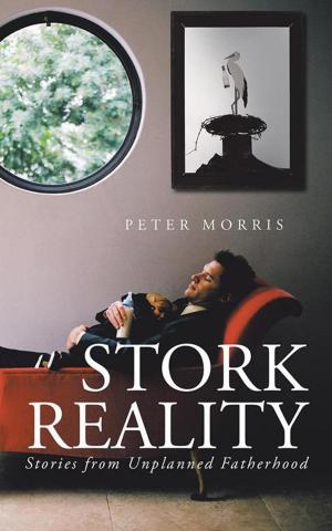 Cover of the book Stork Reality by Elaine N. Aron, Ph.D.