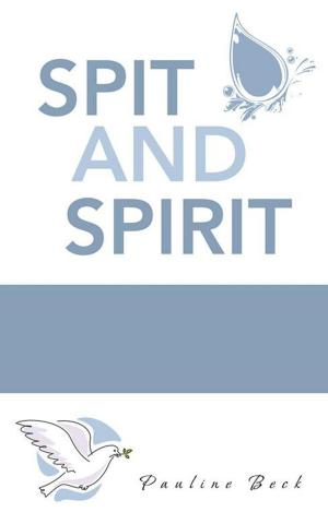 Cover of the book Spit and Spirit by William Driscoll