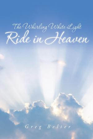 Book cover of The Whirling White Light Ride in Heaven