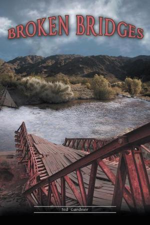 Cover of the book Broken Bridges by Peter Hovenden Longley