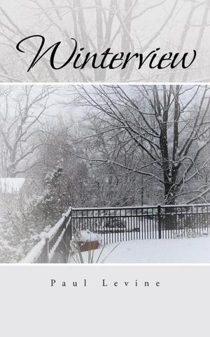 Cover of the book Winterview by Beatrice Fairbanks Cayzer
