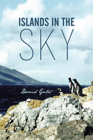 Book cover of Islands in the Sky