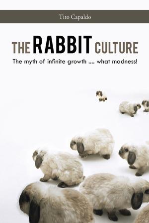 Cover of the book The Rabbit Culture by Evan Heasley