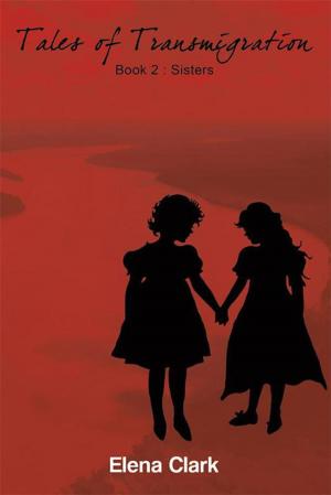 Cover of the book Tales of Transmigration-Sisters by Leanne Garrett Flanagan