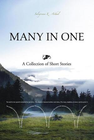 Cover of the book Many in One by Chenette Whitfield