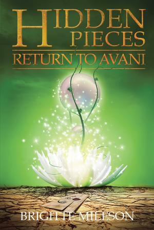 Cover of the book Hidden Pieces by Shamim Razaq