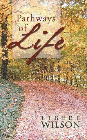 Cover of the book Pathways of Life by Fran A. Repka