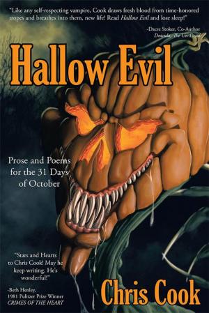 Cover of the book Hallow Evil by Shari Flusche