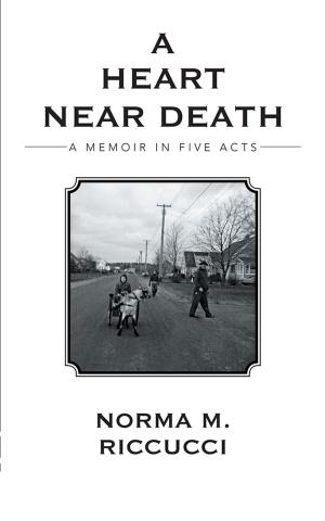 Cover of the book A Heart Near Death by Matthew John Lepak