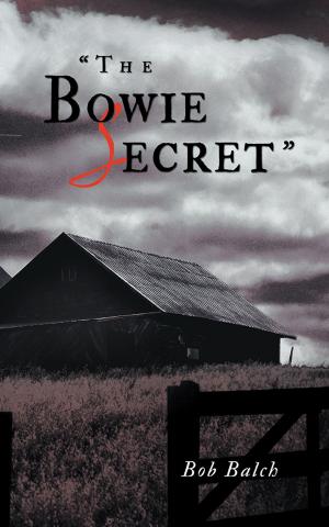 Cover of the book “The Bowie Secret” by D.J. Blue