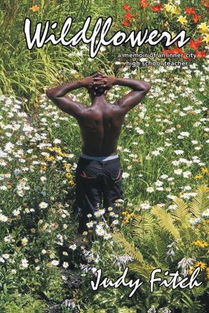 Cover of the book Wildflowers by Ken Kay