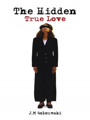 Cover of the book The Hidden True Love by Robert Weinhofer