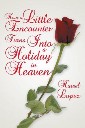 Cover of the book How a Little Encounter Turns into a Holiday in Heaven by Paul Alongi Sr.