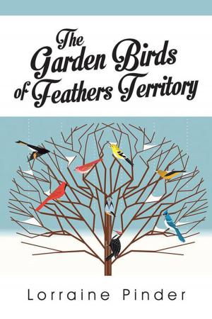 Cover of the book The Garden Birds of Feathers Territory by Aifuwa Rich Iyamu