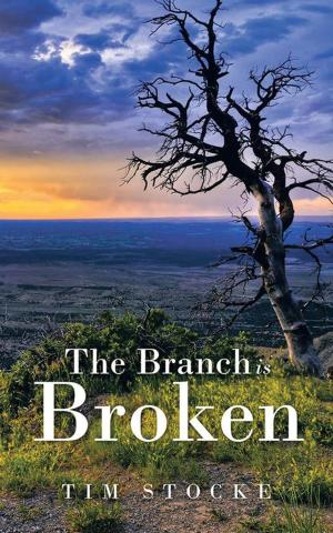 Cover of the book The Branch Is Broken by Mary Rose DeAngelo