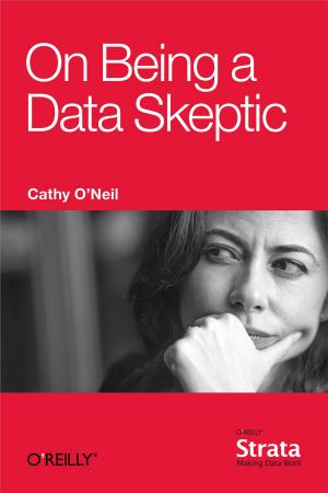 Cover of the book On Being a Data Skeptic by Shyam Seshadri