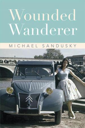 Cover of the book Wounded Wanderer by Mark Andel