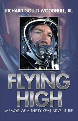 Cover of the book Flying High by Shepherd King