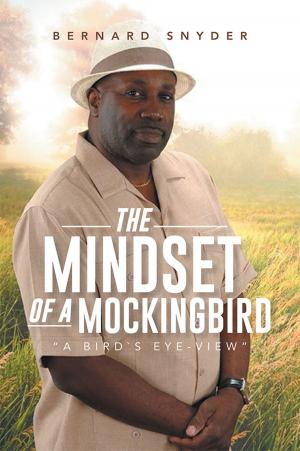 Cover of the book “The Mindset of a Mockingbird” by Philip MacHale