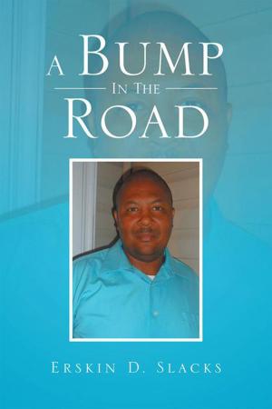 bigCover of the book A Bump in the Road by 