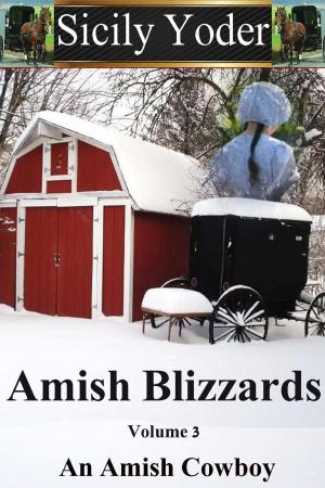Cover of Amish Blizzards: Volume Three: An Amish Cowboy