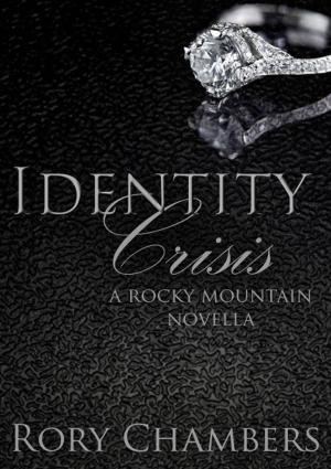 Cover of the book Identity Crisis by Alan Guzzetti