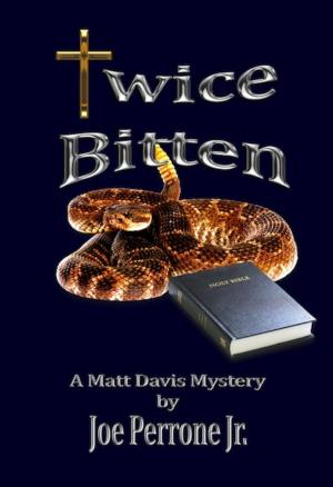 Book cover of Twice Bitten: A Matt Davis Mystery