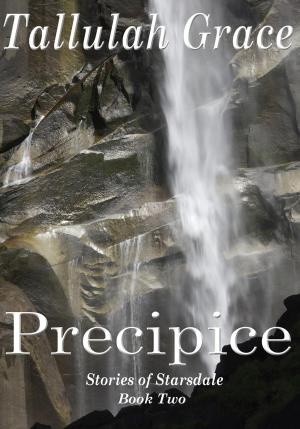 Cover of the book Precipice by BS Murthy