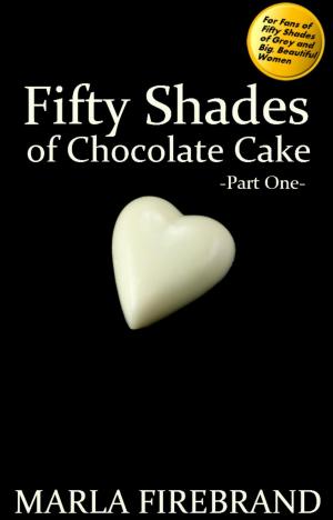 Cover of the book Fifty Shades of Chocolate Cake by Samuel Planner