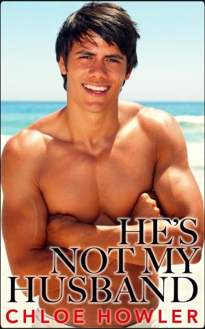 Cover of the book He's Not My Husband... #3 (Cuckold Hotwife Husband Erotica) by Beverley Oakley